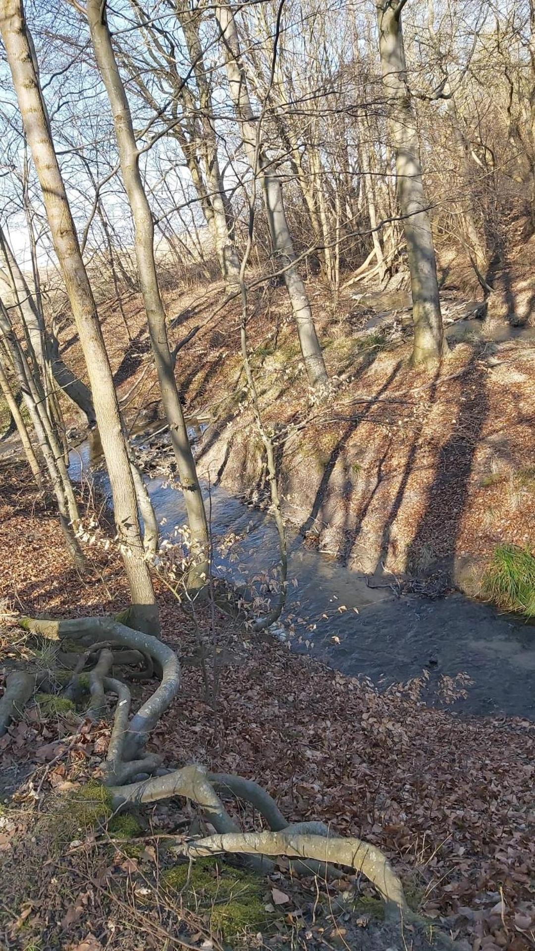 Ferienhaus An Der Brunnenaue 4 Sterne, E-Ladestation Am Haus, Wlan, Netflix, Garten 사가드 외부 사진